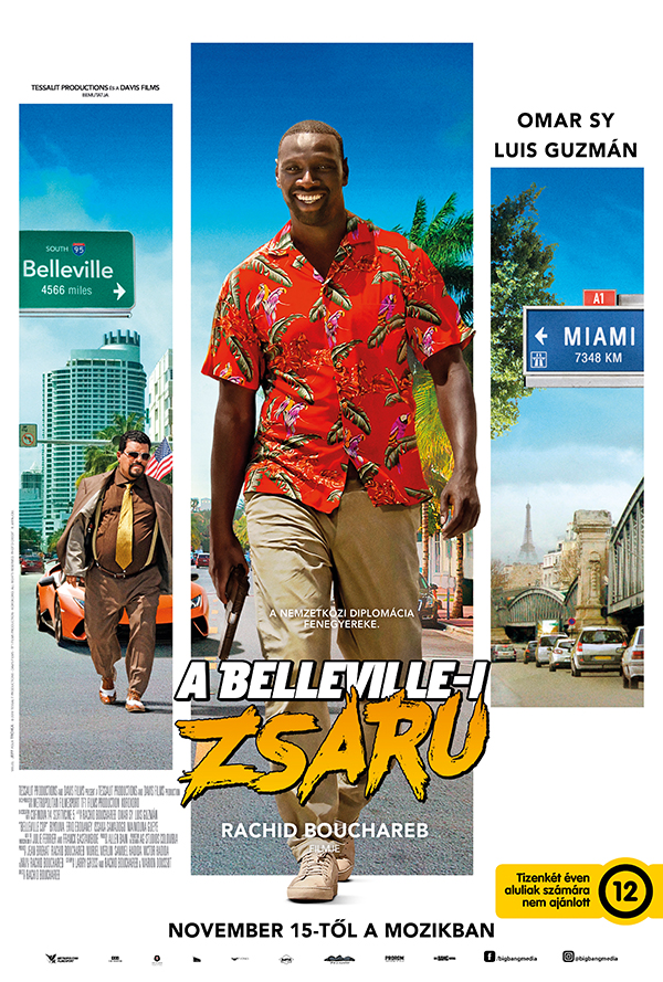 A belleville-i zsaru poster