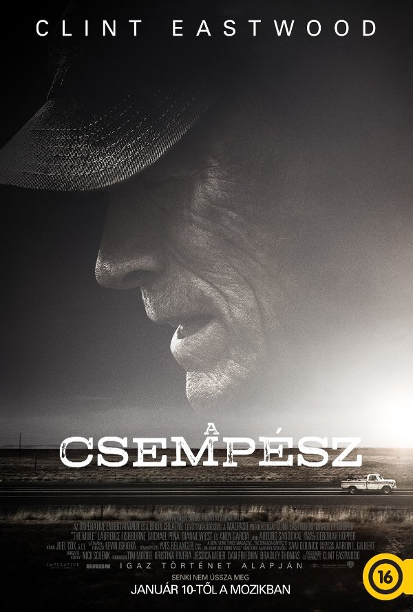 A csempész poster