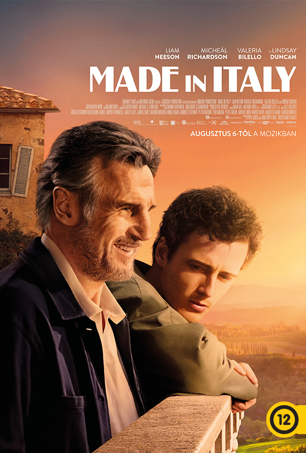 Made in Italy poster