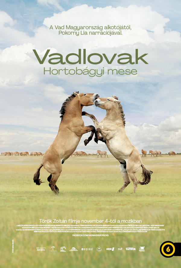 Vadlovak - Hortobágyi mese poster