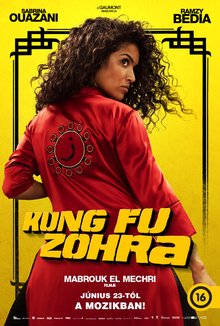Kung Fu Zohra poster