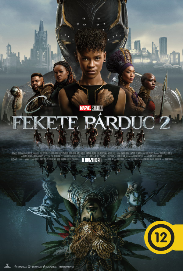 Fekete Párduc 2. poster