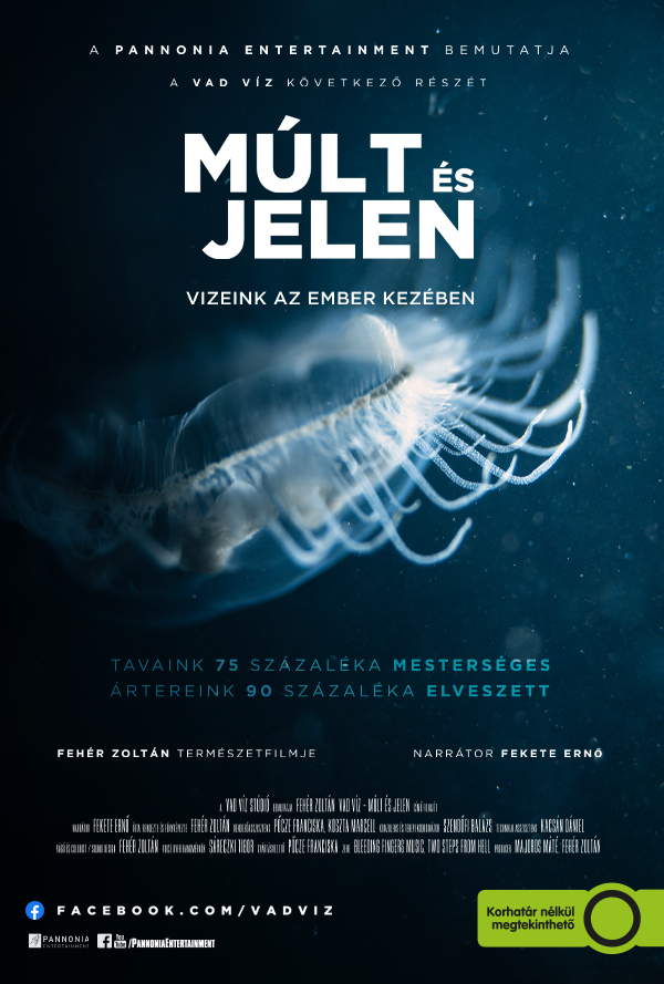 Múlt és jelen - Vizeink az ember kezében poster