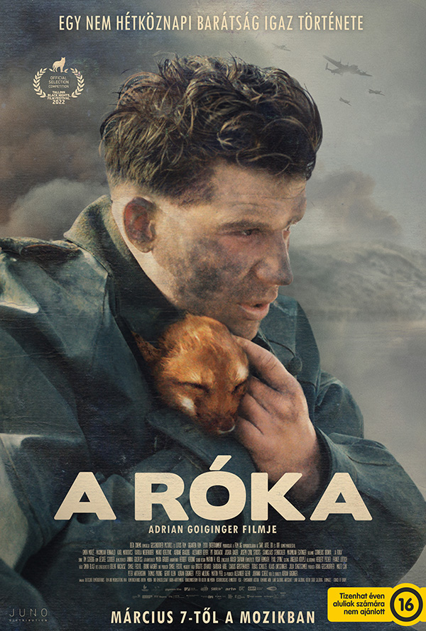 A róka poster