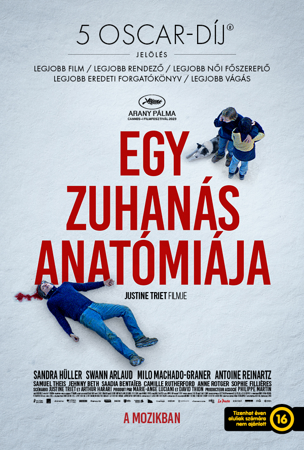 Egy zuhanás anatómiája poster