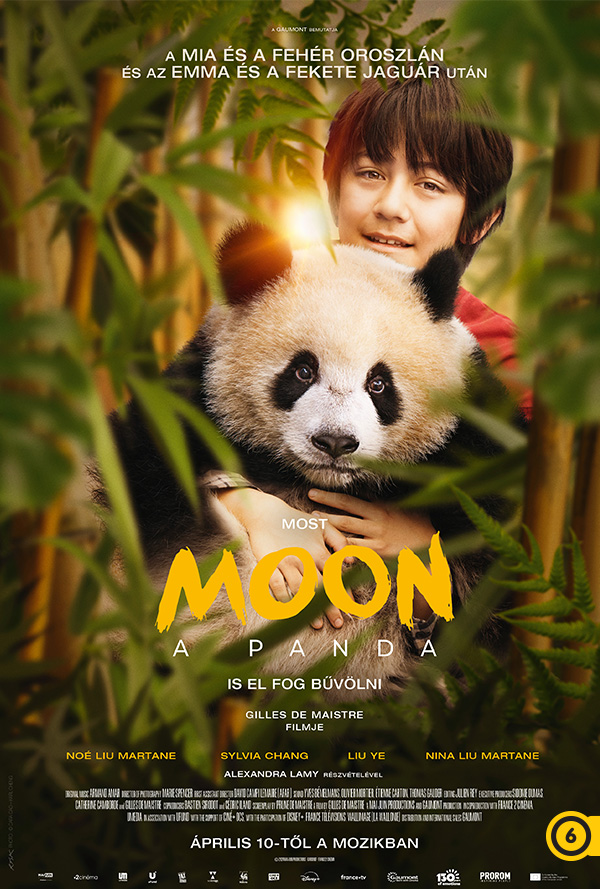 Moon, a panda poster