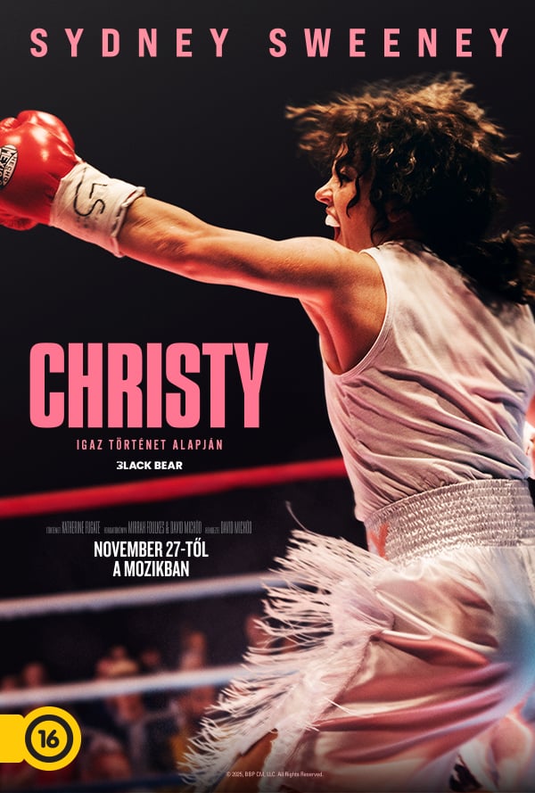 Christy poster