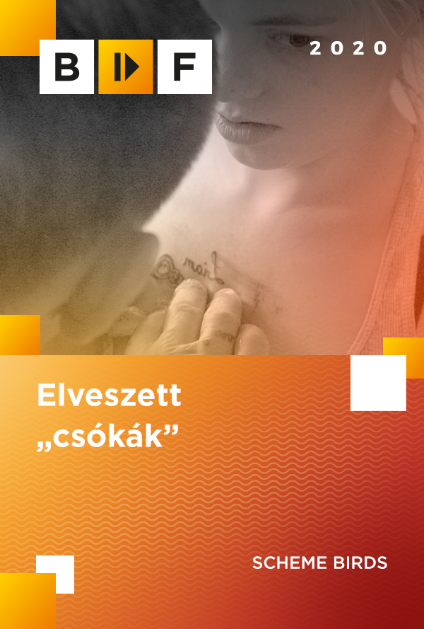 Elveszett „csókák” poster