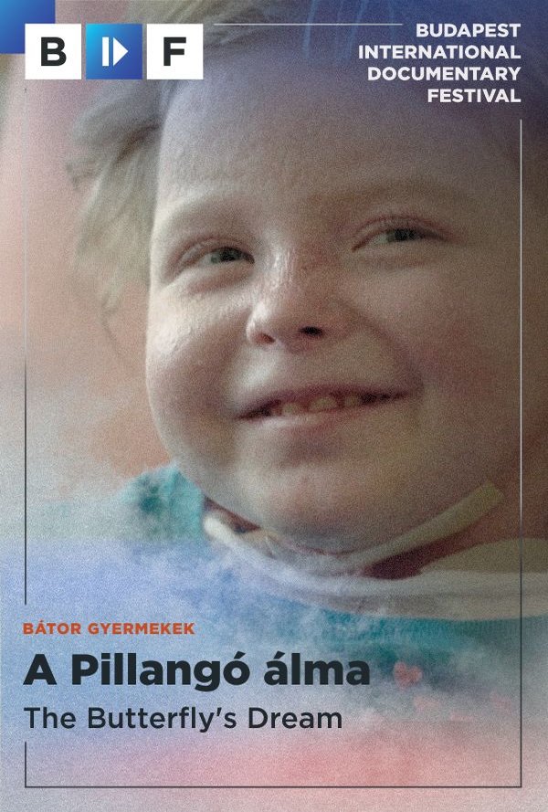 A Pillangó álma poster