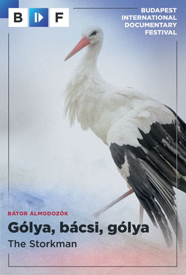 Gólya, bácsi, gólya poster