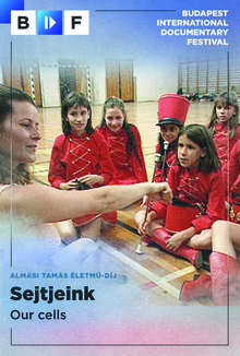 Sejtjeink poster