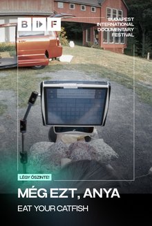 Még ezt, anya poster