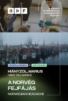 A norvég fejfájás + Hiányzol, Marius (rövidf.) poster