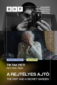 A rejtélyes ajtó + Tiktak Peti (rövidf.) poster