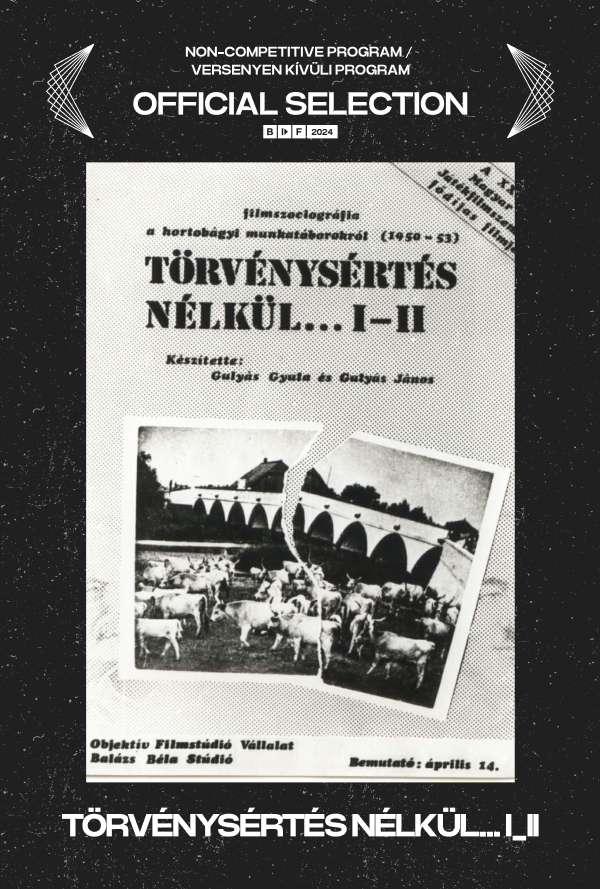 Törvénysértés nélkül poster