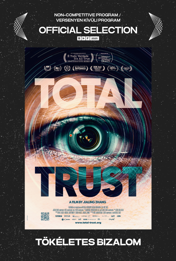 Tökéletes bizalom poster