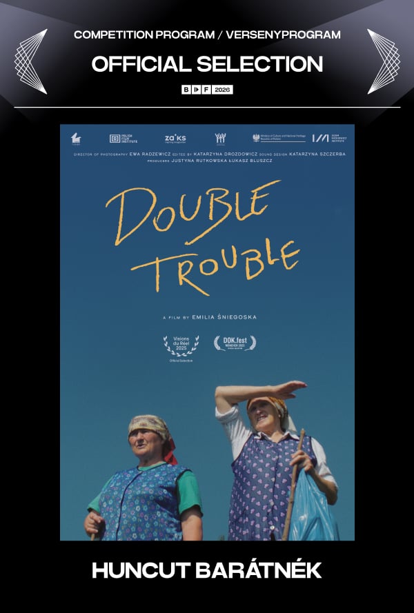 Huncut barátnék poster