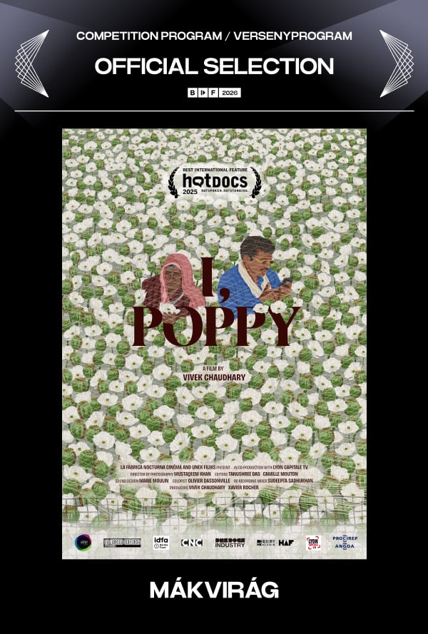 Mákvirág poster