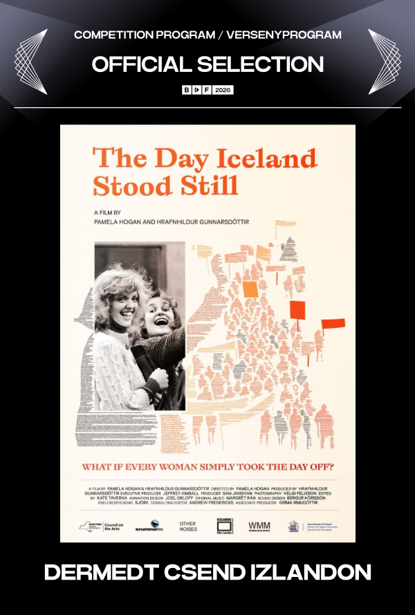 Dermedt csend Izlandon poster